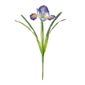 ������ ���� MAGIQ �Ԃ��傤�� �_�[�N�p�[�v�� �Ԍa8×L26cm 1�{�� FM001525-017