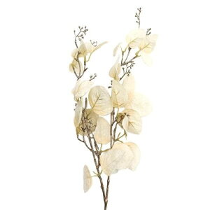 ���� �V���N�t�����[ �w�N���[�����[�J�� �N���[�� V2226-037�x