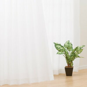 �j�g��(NITORI) �f�R�z�[�����i �ՔM�E�Ց��E�h�����[�X�J�[�e�� ST DH20 ��100×��108cm×2�� 5734411