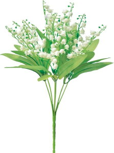 �A�X�J(Asca) ASCA ���� �X�Y�����u�b�V�� �N���[���z���C�g �S��:32cm A-33963-011