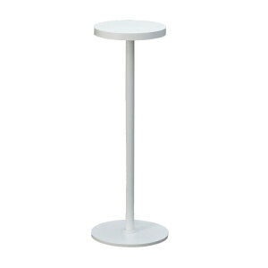 �R�c�Ɩ� Z���C�g �����FLED ���F���ꂢ �z���C�g ZR-1 W �Z�[�h��[�t�@�C]100mm�E��300mm�E�x�[�X��[�t�@�C]110mm