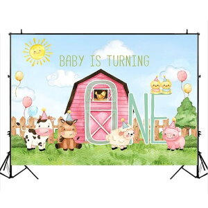 �o�b�N�� �w�i�� �ǎ� ���� �f�R���[�V���� ���� �t�@�[�� �a���� �ʐ^�B�e �X�^�W�I �x�r�[�V�����[ ���� �C���X�g �C�x���g �p�[�e�B�[ �o�i�[ (27184-27414) Style-20 �r�j�[��150x100cm