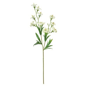 ������(Tokyodo) ���� ����J���p�k�� ���C�g�O���[�� �Ԍa3�`4×L40×W15cm 1�� FM004579-023