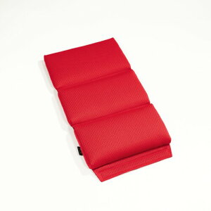 CLINGAIR �o�P�b�g�p�V�[�g�N�b�V���� for BRIDE(ZETA/XERO/ZIEG/GIAS/VIOS) ?�w��_���E�� D-BV2