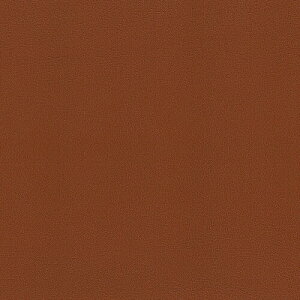 KIYOHARA �t�F�C�N���U�[ ���n ���� ��95cm×50cm Col.BR �u���E�� HMF09-50