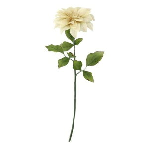 ���� �V���N�t�����[ �w���}�m�X�_���A �N���[�� VTR411�x