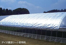 ダイオ化成 農業遮光資材 ダイオ農涼シート 1号 ハウス内作業用 銀黒 巾6m×長さ20m