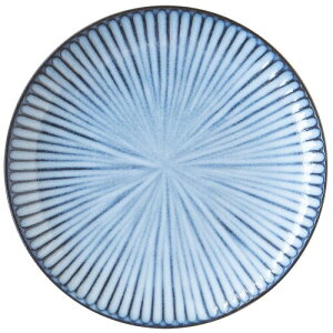 TAMAKI Rin �v���[�g19 �u���[ ���a18.7x����2.7cm ���� T-963906