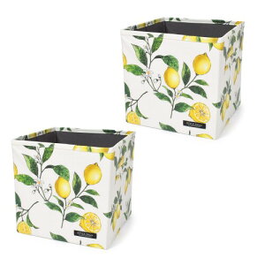 �X�^�C���f�R�[��(STYLE Decor) �t�@�u���b�N�{�b�N�X S�T�C�Y (26cm×26cm×26cm) 2�Z�b�g �V�g���X������ ���[�{�b�N�X ������� W4201802