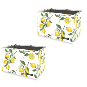 �X�^�C���f�R�[��(STYLE Decor) �t�@�u���b�N�{�b�N�X M�T�C�Y (25cm×38cm×25cm) 2�Z�b�g �V�g���X������ ���[�{�b�N�X ������� W4301802