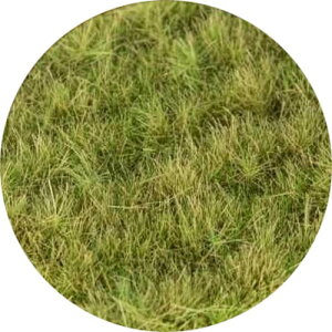 �O���[���X�^�b�t���[���h(Green staff world) ���̑� 12mm ���C�g�O���[�� �z�r�[�p�f�� GSWD-13452 (��i)