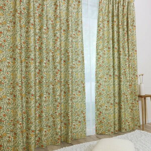 �E�B���A���E�����X ���Y�h���J�[�e�� 2���gP256 (��130cm��×��255cm��) 3���Ռ� �ՔM �f�M �ډB�� �l�C ���@�\