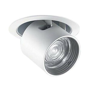 �p�i�\�j�b�N TOLSO SERIES LED�_�E�����X�|�b�g���C�g 200�` [�t�@�C]100 ���p ��ʌ��F �z���C�g �d���F NTS41123W