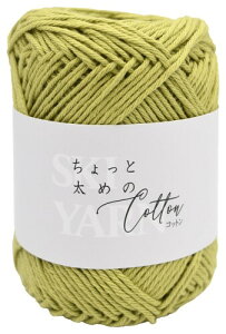 ���A SKI YARN (�X�L�[�ю�) ������Ƒ��߂̃R�b�g�� ���� COL. 205 ���݂ǂ� �n ��100% ��30g66m 5�� �Z�b�g