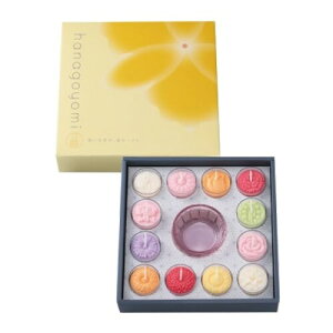 �y�K�T�X�L�����h�� �ԗ�12�Z�b�g �m�� DX