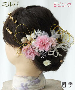   l ~o Ǝ gR R   ┓ S[h Vo[ hCt[  vU[uht[  wAANZT[ wAAW lOB U   a F