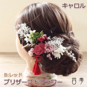  Ǝ hCt[ l vU[uht[ L Bbh wbhhX ݑ Ǝ hCt[yzK_0374b