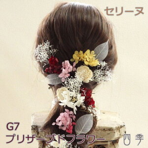 vU[uht[  Z[k G7 wbhhX ݑ l Ǝ hCt[yzH_0378g