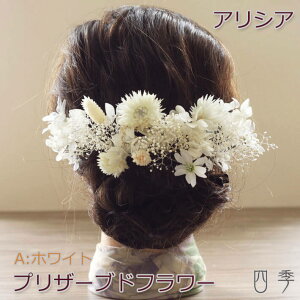  Ǝ hCt[ l vU[uht[ AVA AzCg hCt[ wbhhX ݑ EFfBO  Ǝ a uC_ FŊ| ԉ   a 