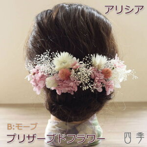  Ǝ hCt[ l vU[uht[AVA B[u hCt[ wbhhX ݑ EFfBO  Ǝ a uC_ FŊ| ԉ   a y