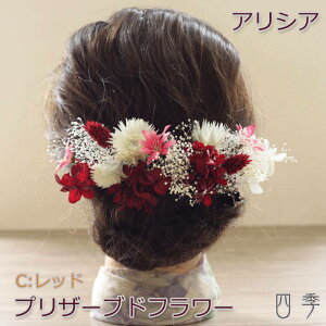  Ǝ l vU[uht[ AVA Cbh hCt[ wbhhX ݑ EFfBO  Ǝ a uC_ FŊ| ԉ   a yzK_0407c