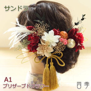  l hCt[ Th 4F vU[uht[ a C FŊ| U   wbhhX EFfBO  a a uC_ wbhANZ wbhANZT