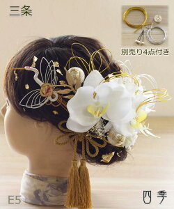  l Ӓ O 5F ݃J[  vU[uht[ |j[e[ a C FŊ| U   wbhhX EFfBO  a a uC_ wbhANZ