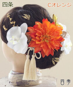 l  Ӓ _A l 5F  wbhhX vU[uht[ ݑ hCt[  C a zCg _O yzK_0459