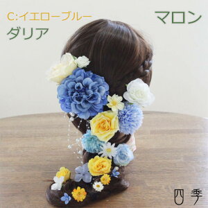  vcF } CG[u[C _A EFfBO [Y o  f[W[ } RXX p[ ԁyz H_0333c