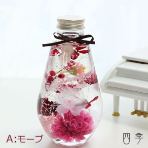 n[oE ̓ I[o A[u Mtg  vU[uht[ A[eBtBVt[  ha_0387a