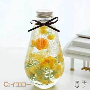 n[oE ̓ I[o CCG[ ~U Mtg  vU[uht[ A[eBtBVt[  ha_0387c