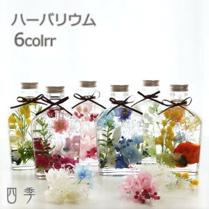 n[oE ̓ XLbg S6F Mtg  vU[uht[ A[eBtBVt[  ha_0388