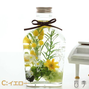 n[oE ̓ XLbg CCG[ ~U Mtg  vU[uht[ A[eBtBVt[  ha_0388c