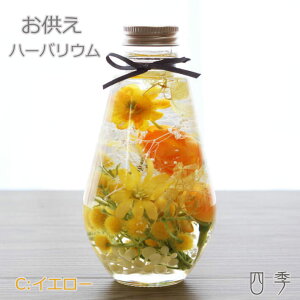 n[oE  I[o C CG[ Mtg  vU[uht[ A[eBtBVt[  ha_0390c