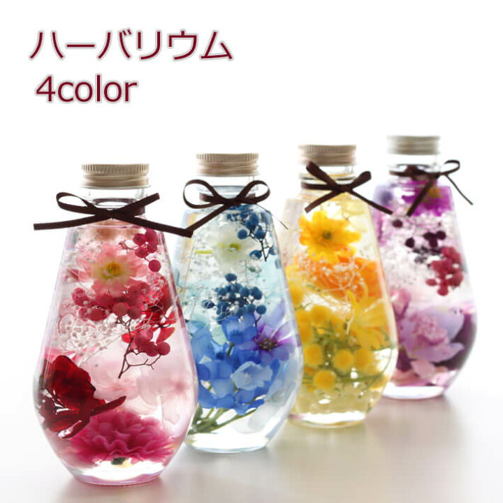 楽天市場】ハーバリウム ギフト オーバル全4色 プレゼント 花 