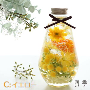 n[oE Mtg I[o C CG[ ~U v[g  vU[uht[ A[eBtBVt[  ha_0392c