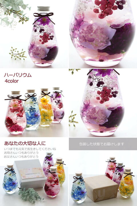 楽天市場】ハーバリウム ギフト オーバル全4色 プレゼント 花 