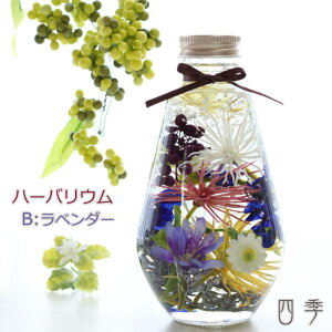 ハーバリウム スパイダーマム B ラベンダー プレゼント お誕生日 父の日 母の日 花 プリザーブドフラワー アーティフィシャルフラワー 送料無料 ha_0394b