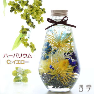 n[oE XpC_[} 3F v[g a ̓ ̓  vU[uht[ A[eBtBVt[  ha_0394