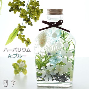 n[oE  3F XLbg v[g a ̓ ̓  vU[uht[ A[eBtBVt[  ha_0395