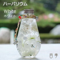 楽天市場】ハーバリウム 白の通販