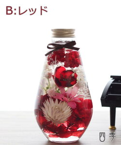 ̓ n[oE ەr /  vU[uht[&A[eBtBVt[ lC Mtg ̓Mtg v[g LO a Ԃ j V JXj j ސEj 