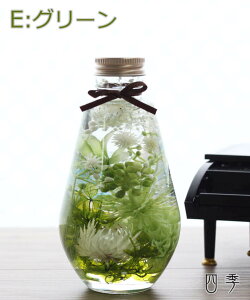 ̓ n[oE ەr /  vU[uht[&A[eBtBVt[ lC Mtg ̓Mtg v[g LO a Ԃ j V JXj j ސEj 