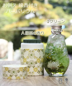  n[oE 6F  a  ݃Zbg ~ ފ d  @ O   {  ha_0448