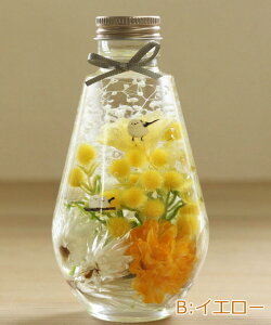 n[oE V}GiK ̓ I[o S5F Mtg  vU[uht[ A[eBtBVt[  ha_0472