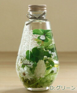 n[oE V}GiK ̓ I[o S5F Mtg  vU[uht[ A[eBtBVt[  ha_0472