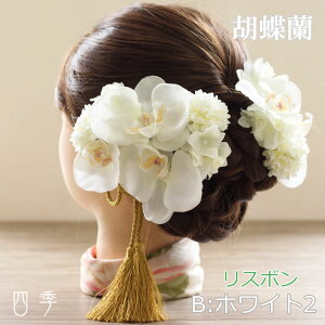  wbhhX Ӓ X{ BzCg2 ^bZ Us C[ a p[eB  CO ԁyz H_0357b