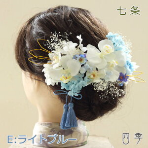 ���l�� ������ �Ӓ��� ���� E���C�g�u���[ �w�b�h�h���X �v���U�[�u�h�t�����[ �����ݑ� ������ �����C �a�� �ԉ� �a�� �_�O�� ���ԁy���������zK_0412e