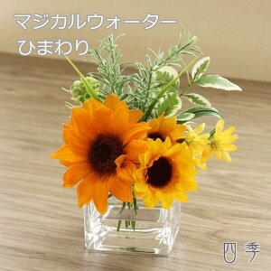 生花 ひまわり 母の日の人気商品 通販 価格比較 価格 Com 生花 ひまわり 母の日の人気商品 通販 価格比較 価格 Com