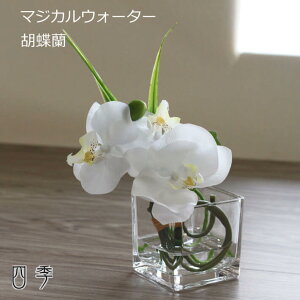  }WJEH[^[ 3^Cv  ݃Zbg ʔ a~ ފ d  @ O   {  ma_0490